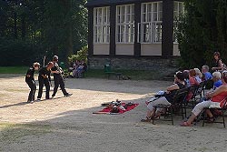 Od 17. do 23. srpna 2014 se ve Velkých Losinách uskuteční druhý ročník workshopu „Commedia dell´arte“